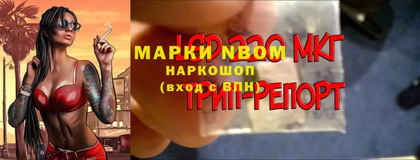 индика Нязепетровск