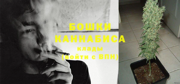 амф Нягань