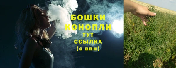 индика Няндома