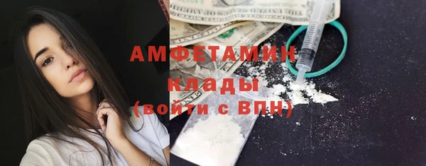 индика Няндома