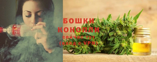 spice Новодвинск