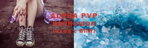 индика Нязепетровск