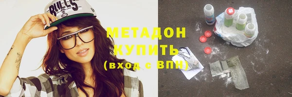 индика Няндома