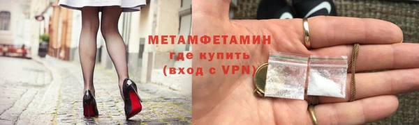 индика Няндома
