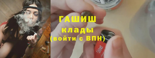 индика Няндома