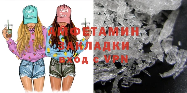 индика Няндома