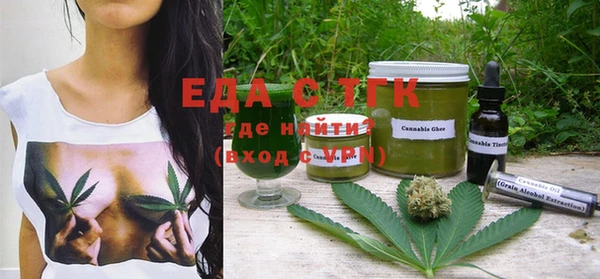 индика Няндома