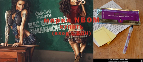 spice Новодвинск