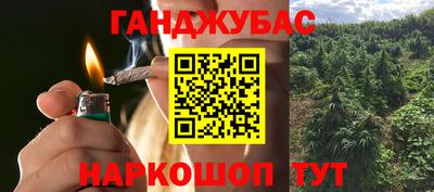 индика Заводоуковск