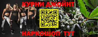 индика Заводоуковск