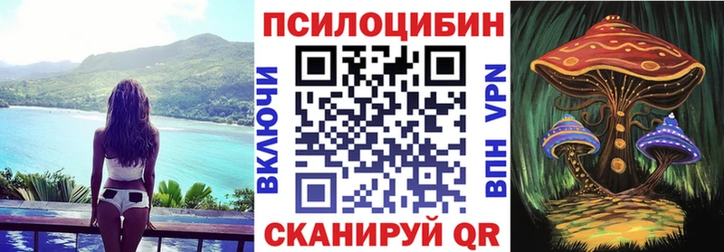 Галлюциногенные грибы мицелий  где купить наркоту  Кстово 