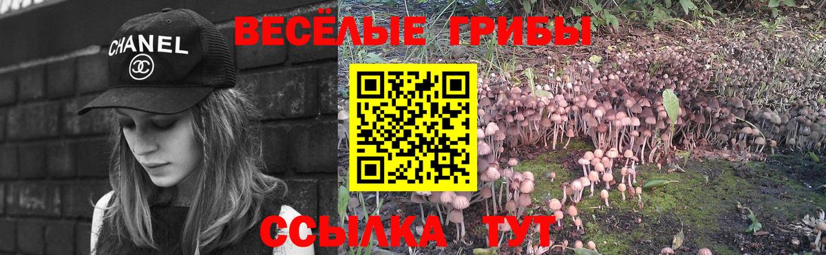 Галлюциногенные грибы Cubensis Кстово