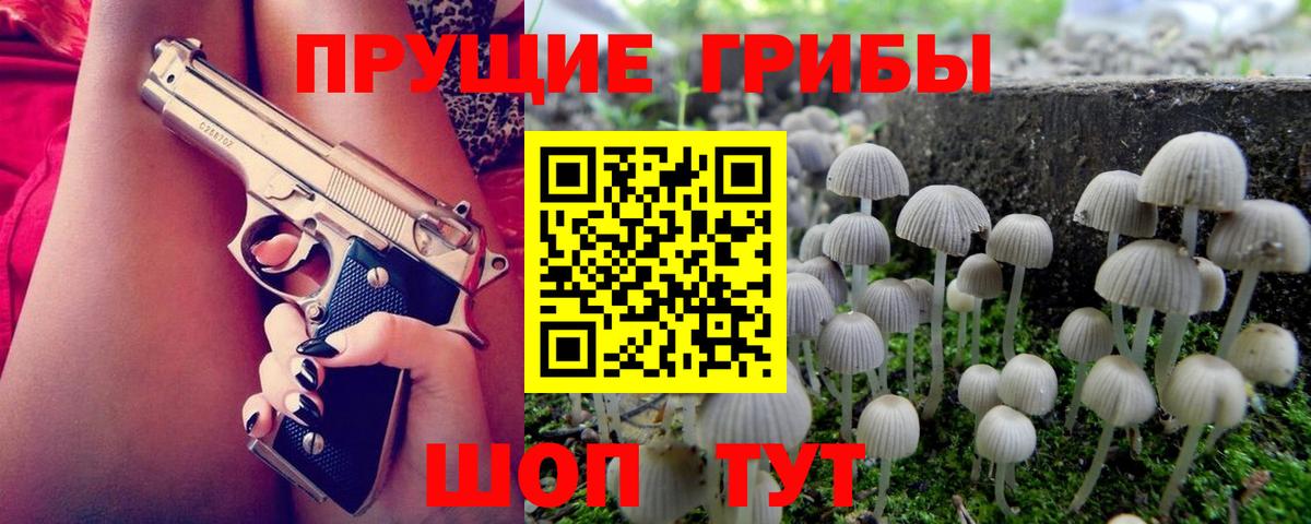 купить закладку  Кстово  Галлюциногенные грибы Psilocybe 