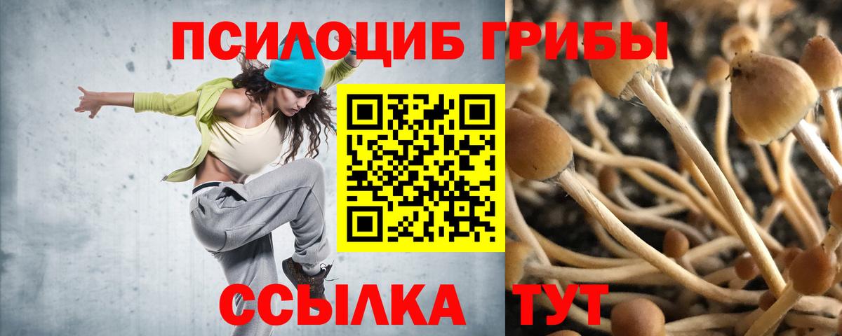 Галлюциногенные грибы GOLDEN TEACHER Кстово